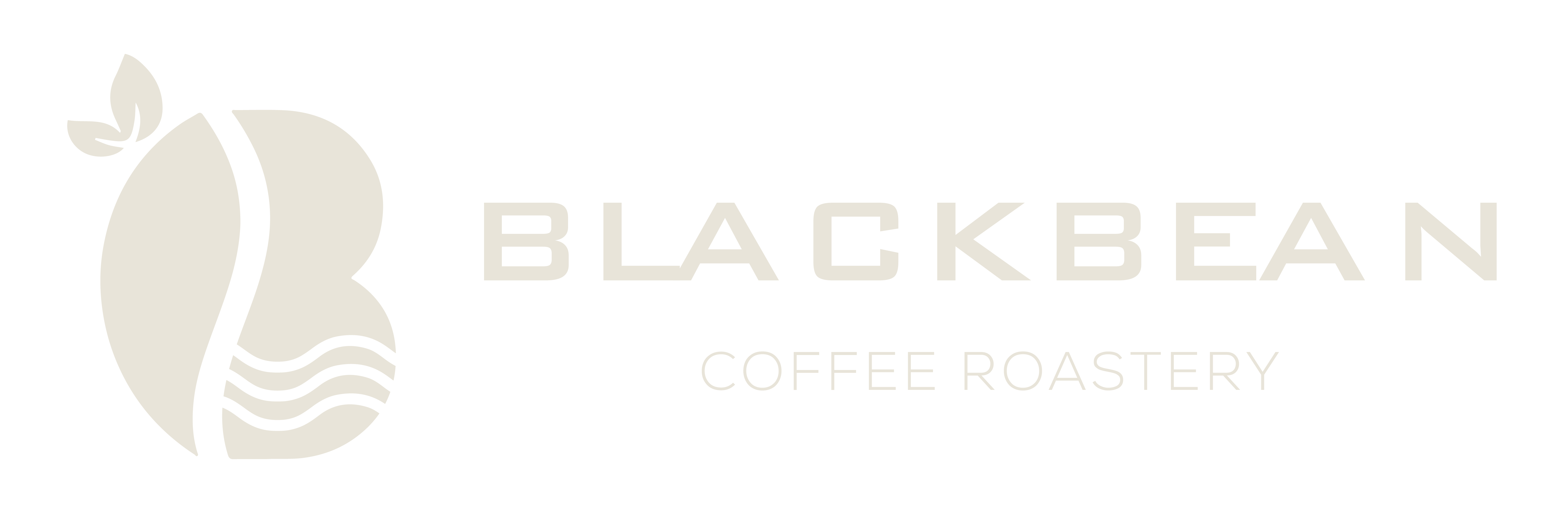 Black Bean Coffee Roastery